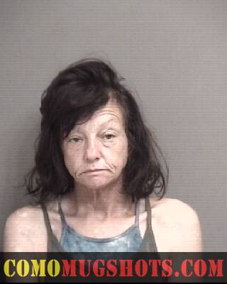 Leslie Mchenry