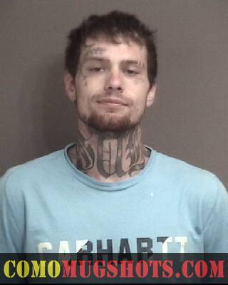 Dalton Stuart